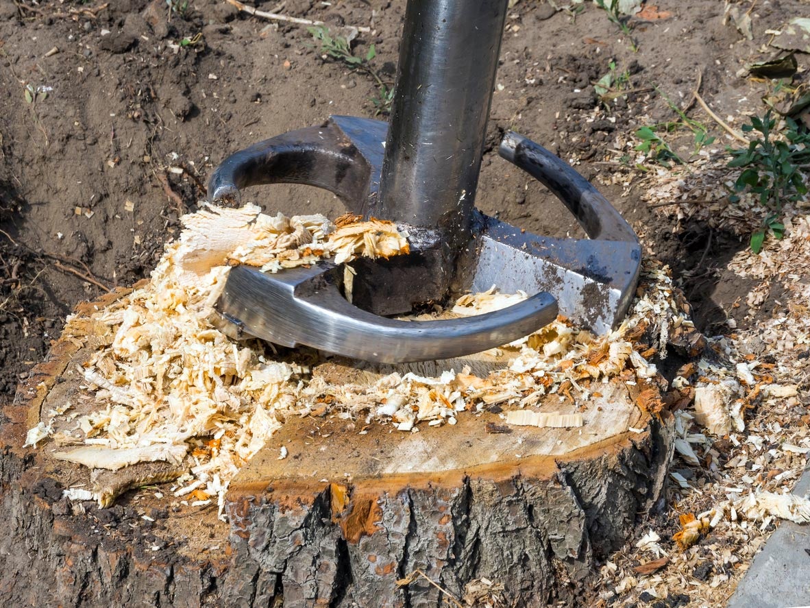 Stump grinding in roseville is always fun. Ace Tree Ent does tree trimming anf tree removal.